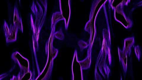 Violet on black Stock Footage 125701722