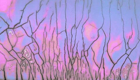 Violet blue abstract background texture . purple and pink Old grunge concrete Stock Photos