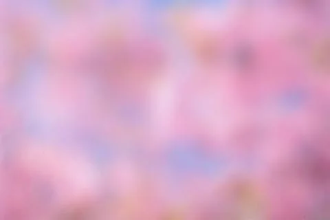 Violet bokeh background, abstract texture. Purple Spring Stock Photos