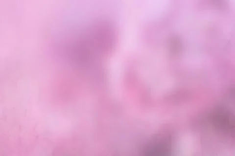 Violet bokeh background, abstract texture. Purple Spring Stock Photos