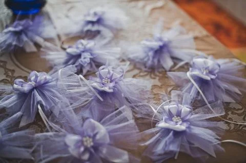 Violet bows 1842. Stock Photos