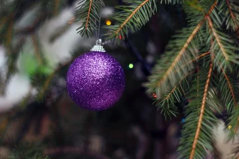 Violet brilliant sphere hangs on a New Year's fir-tree Stock Photos