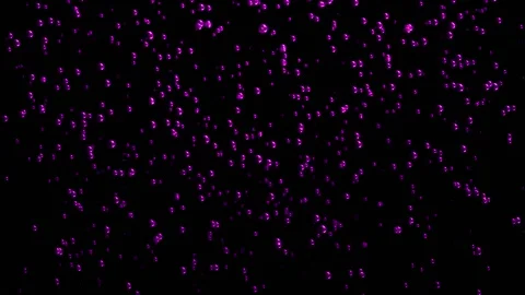 Violet Bubbles Stock Footage 145945052