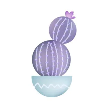 Violet cactus in blue pot isolated on white backgound. Vector illustration. Stock Illustration
