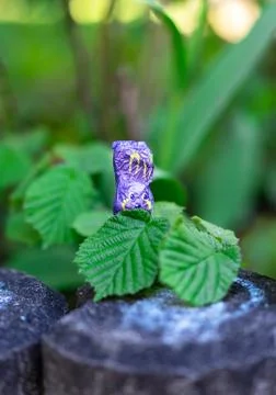 A violet chocolate easter bunny sitting on a concrete pole hides behind leave Stock Photos