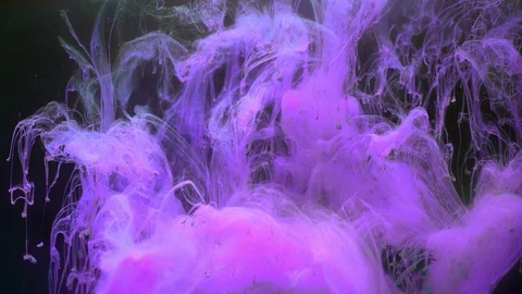 Violet color paint ink diffuses in water in slow motion on black background with Video stock 106345179