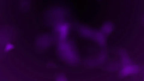 Violet Colored bokeh blue HD background Stock Footage 73863376