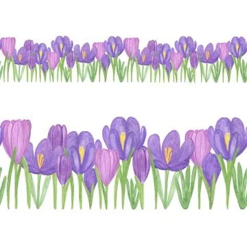Violet crocus flowers horizontal border repeat pattern, simple springtime image 스톡 일러스트