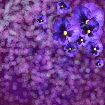 Violet delicate flowers. Frame, background, card, invitation Stock Photos