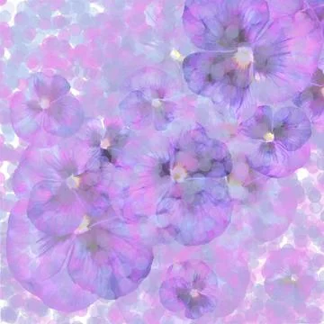 Violet delicate flowers. Frame, background, card, invitation Stock Photos