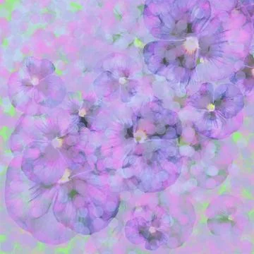 Violet delicate flowers. Frame, background, card, invitation Stock Photos