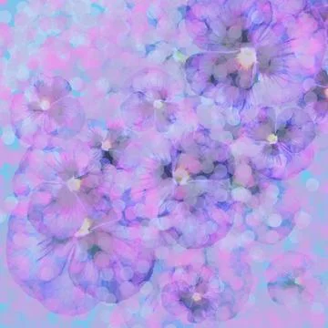 Violet delicate flowers. Frame, background, card, invitation Stock Photos