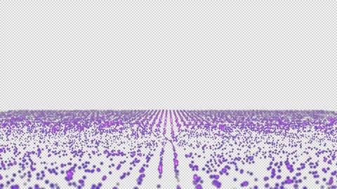 Violet Digital Dots Grid Wave Perspective Isolated on Transparent Background Stock Footage 319787284