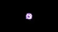 Violet dot sparkle sprite static center screen w alpha channel HD Footage