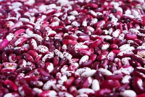 Violet with dots. Background. Swallow beans. Vegetables for healthy eating. O Stock Photos