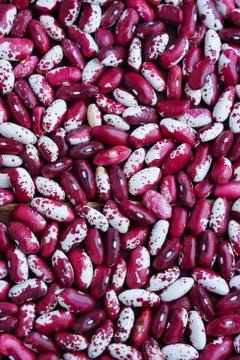 Violet with dots. Background. Swallow beans. Vegetables for healthy eating. O Stock Photos
