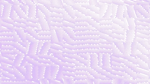 Violet Dots Evolving Background Pattern On A White Canvas Stock Footage 313488853