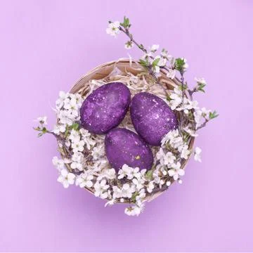 Violet easter eggs in a basket with flowers on a violet background. Square ph Stock Photos