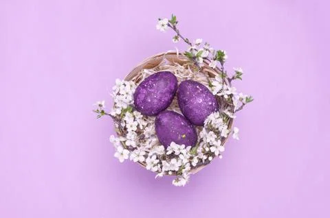Violet easter eggs in a basket with flowers on a violet background. Horizonta Stock Photos