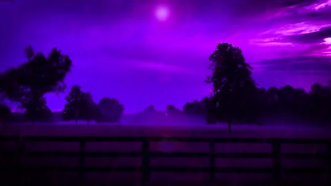 Purple Glitter Rain Falling Down On Stock Footage Video (100% Royalty-free)  1015909138