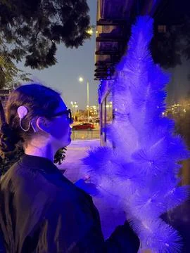 Violet Evening Stock Photos