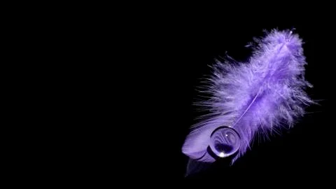 Violet feather background 스톡 사진