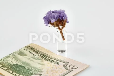 Violet flower in ampoule with medicine and 50 USA dollars banknote Stock Photos