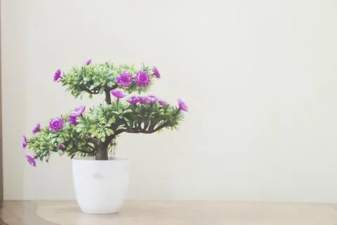 Violet flower bloom interior decoration Stock Photos