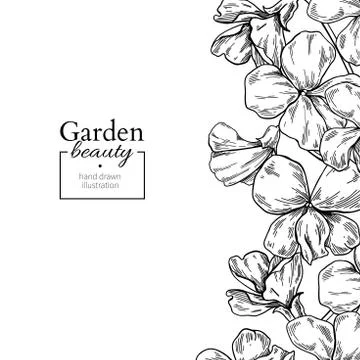 Violet flower drawing. Vector hand drawn engraved floral set. Vi Stock Illustration