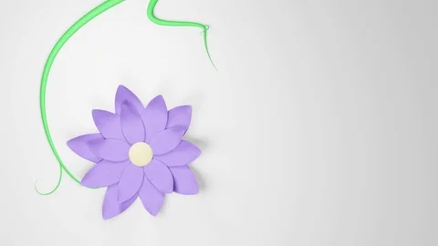 Violet flower grows on a white background. Stock Footage 74183261