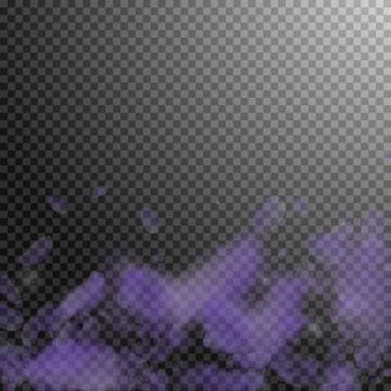 Violet flower petals falling down. Dramatic romant 스톡 일러스트