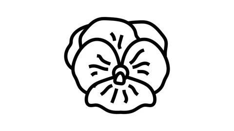 Violet flower spring line icon animation Stock Footage 326135368