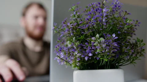 Violet flowers against blurred young man working on laptop. Stock Footage 262948827