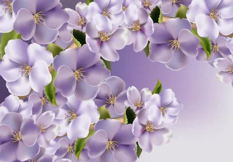 Violet flowers background Vector realistic. Spring floral background 3d illus Stock Illustration
