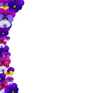 Violet flowers border Stock Illustration