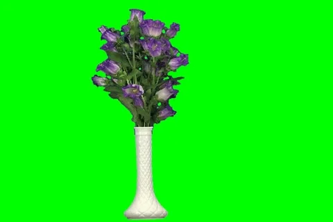 Violet flowers Video stock 18614128