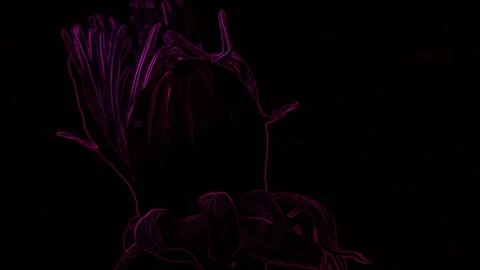 Violet Fluorescent Flower on Black Background 库存影片 131332900