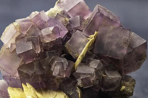 Violet Fluorite Mineral Sample Close-up Foto stock