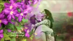 The Violet Garden Gallery Stock After Effects