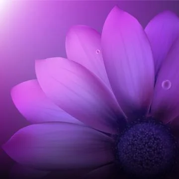 Violet gerber Stock Illustration