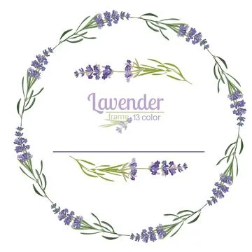 Violet Lavender beautiful floral frames template in Stock Illustration