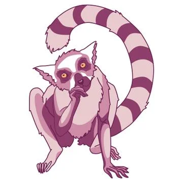 Violet lemur on white isolated backdrop. Stock Illustration
