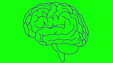 Violet line brain 2 green Stock Footage 304491872