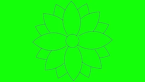Violet line flower green Stock Footage 270377437