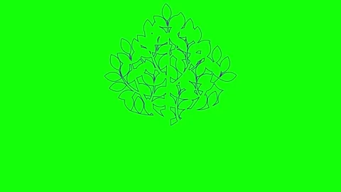 Violet line tree green Stock Footage 265432760