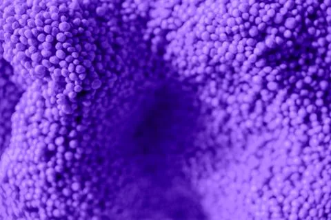 Violet macro texture of balls 스톡 사진