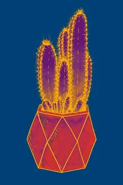 Violet-orange cactus in a geometric pot on a dark blue background illustration Stock Illustration