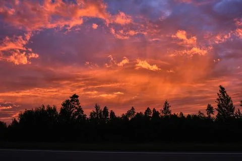 Violet-orange sunset over the forest Stock Photos