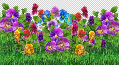 Violet Pansy background Stock Illustration