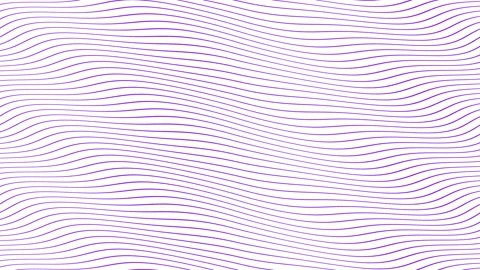 Violet parallel wave lines slow flowing animation on isolated white backgroun Stock Footage 202593295